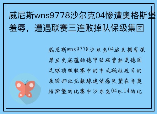 威尼斯wns9778沙尔克04惨遭奥格斯堡羞辱，遭遇联赛三连败掉队保级集团 - 副本
