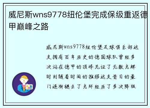 威尼斯wns9778纽伦堡完成保级重返德甲巅峰之路