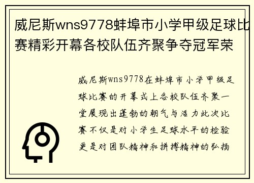 威尼斯wns9778蚌埠市小学甲级足球比赛精彩开幕各校队伍齐聚争夺冠军荣耀